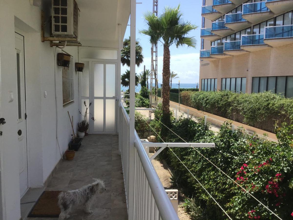 Carpe Diem Appartement El Albir Buitenkant foto